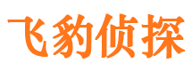 天河找人公司